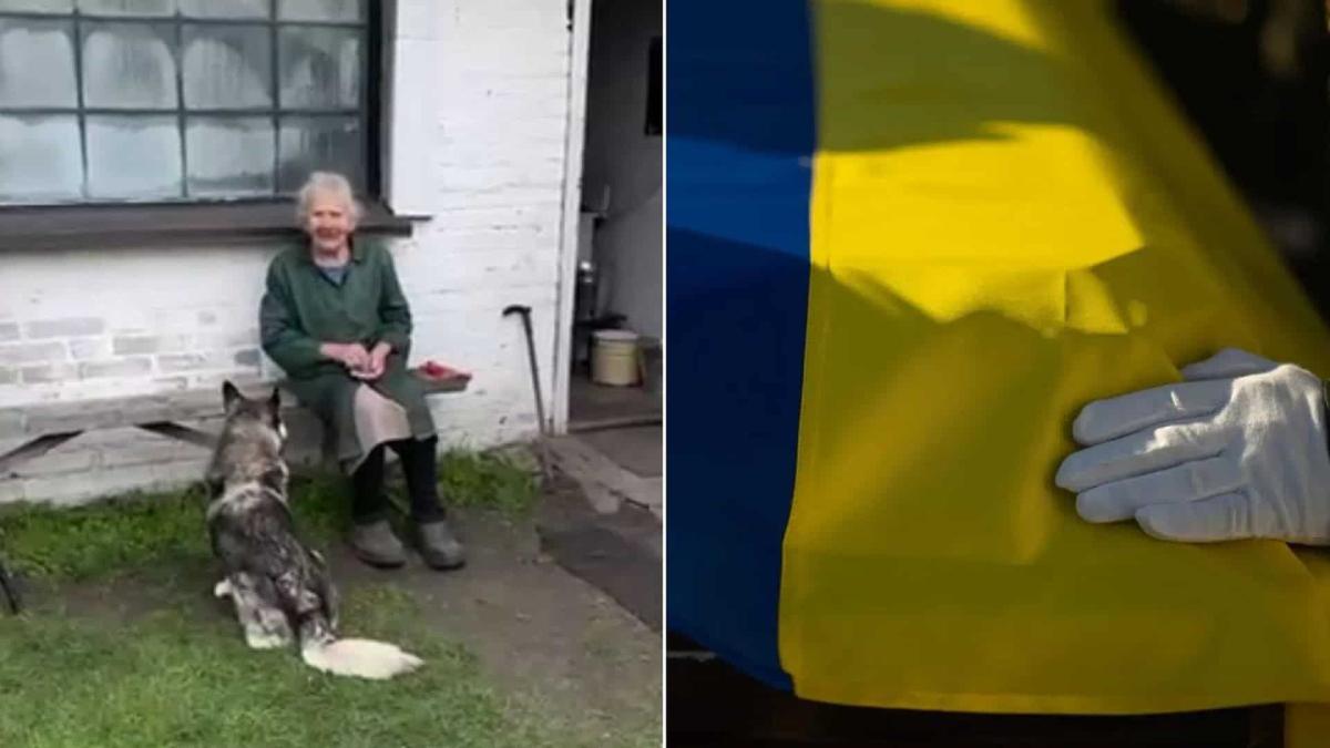 Бабуся в селі годує собаку, поряд синьо-жовтий прапор на труні військового
