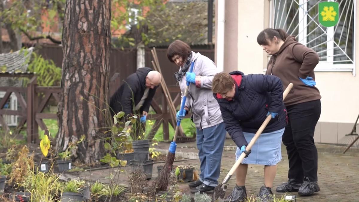 Четверо людей садять рослини та прибирають територію на подвір'ї
