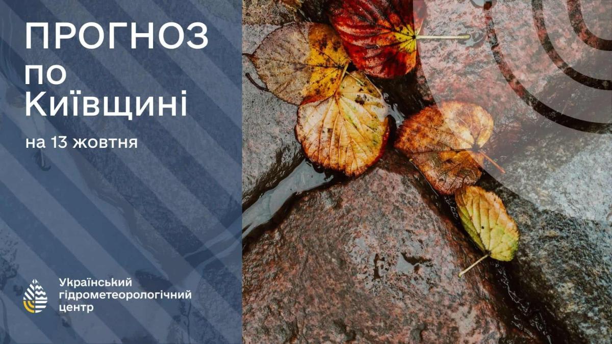 Прогноз погоди на 13 жовтня: Київ та область — дощ і прохолода Жовте листя і напис про прогноз погоди на Київщині на 13 жовтня