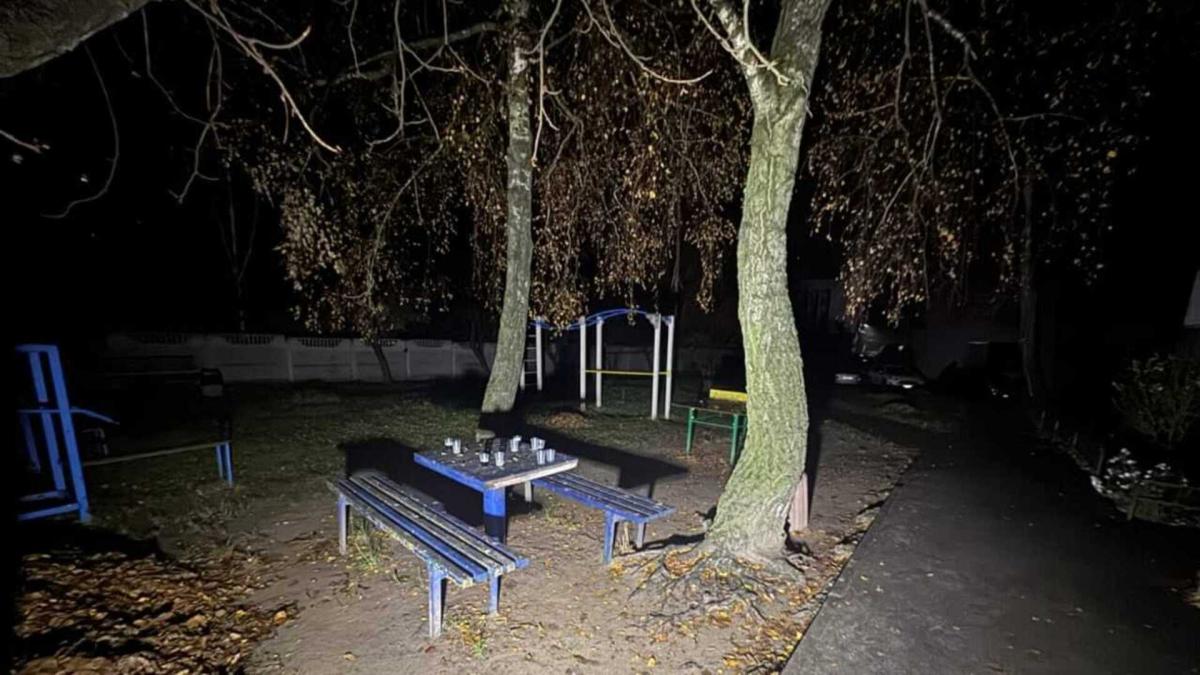 Двір у Вишгороді, де відбулась бійка