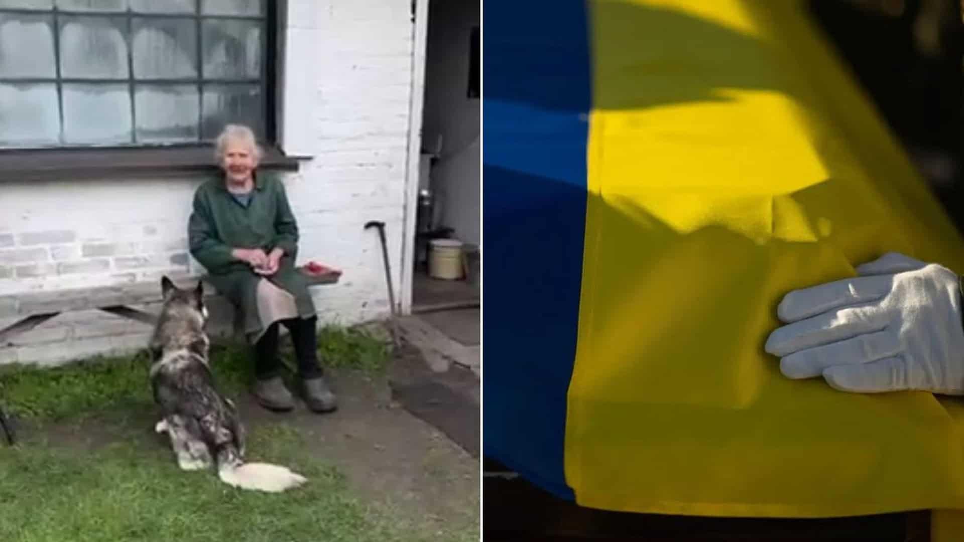 Бабуся в селі годує собаку, поряд синьо-жовтий прапор на труні військового