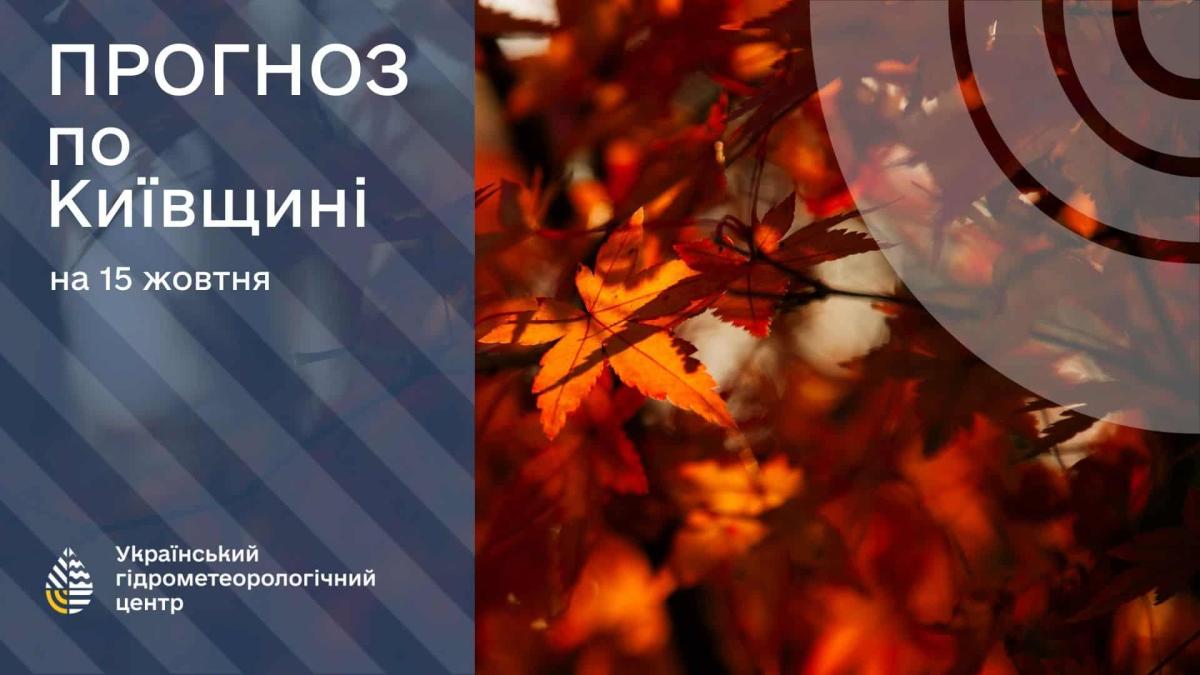 Погода в Києві 15 жовтня: до +10° без опадів Жовте листя і напис про прогноз погоди на Київщині на 15 жовтня