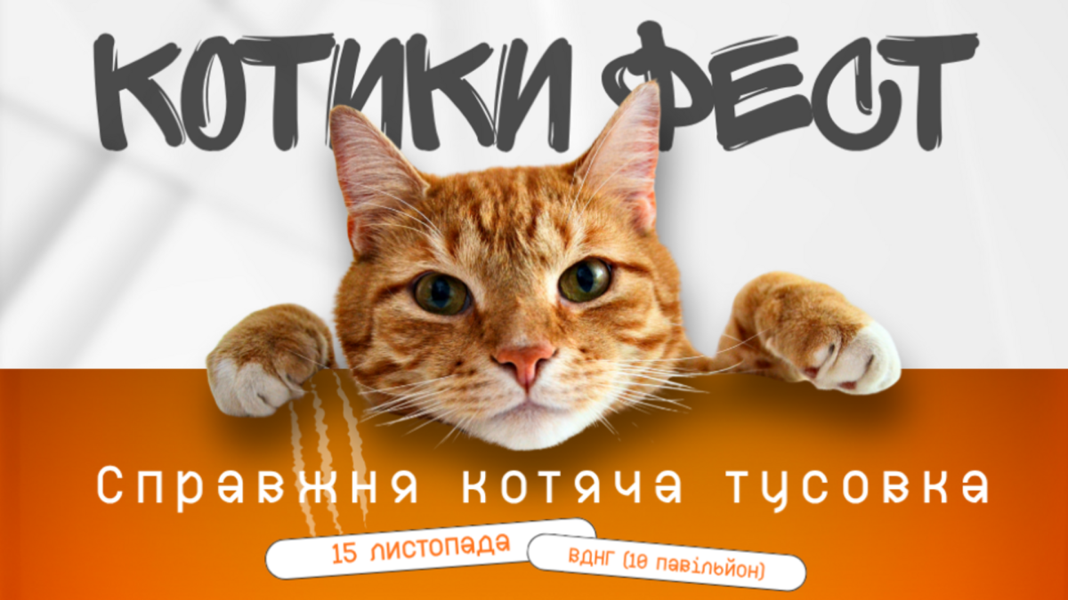 Афіша фестивалю «Котики Фест» на ВДНГ у Києві 15 листопада 2025 року