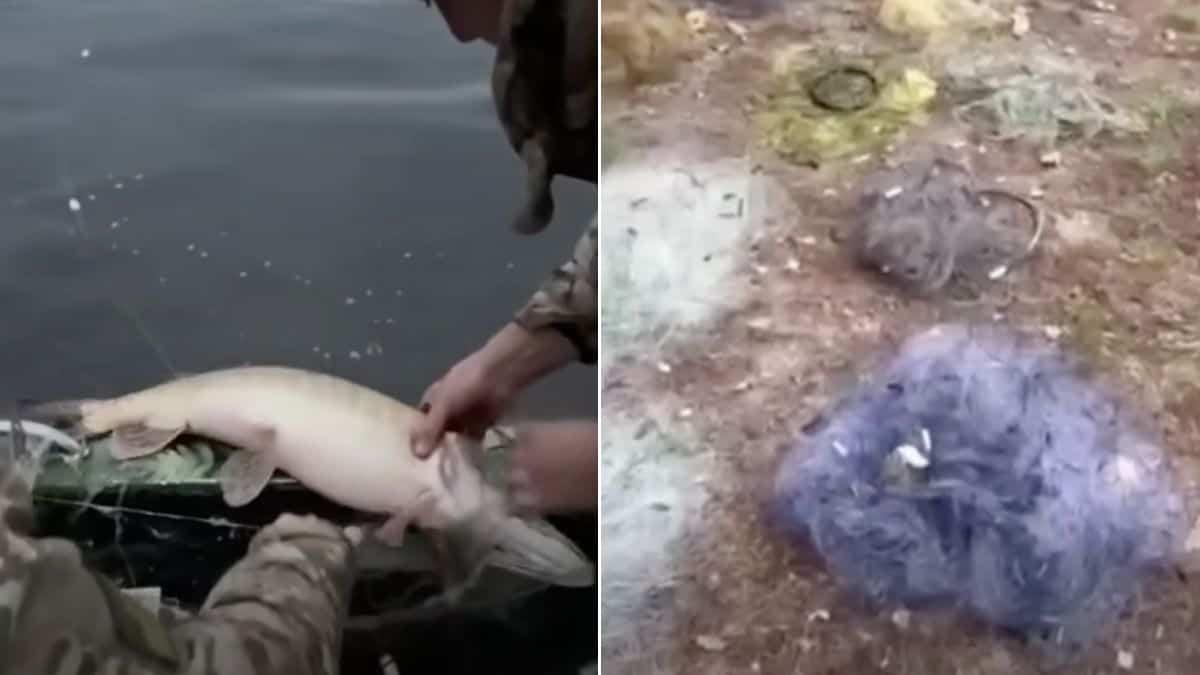 На Київщині чоловік убив колишню співмешканку під час сварки На Київщині чоловік убив колишню співмешканку під час сварки