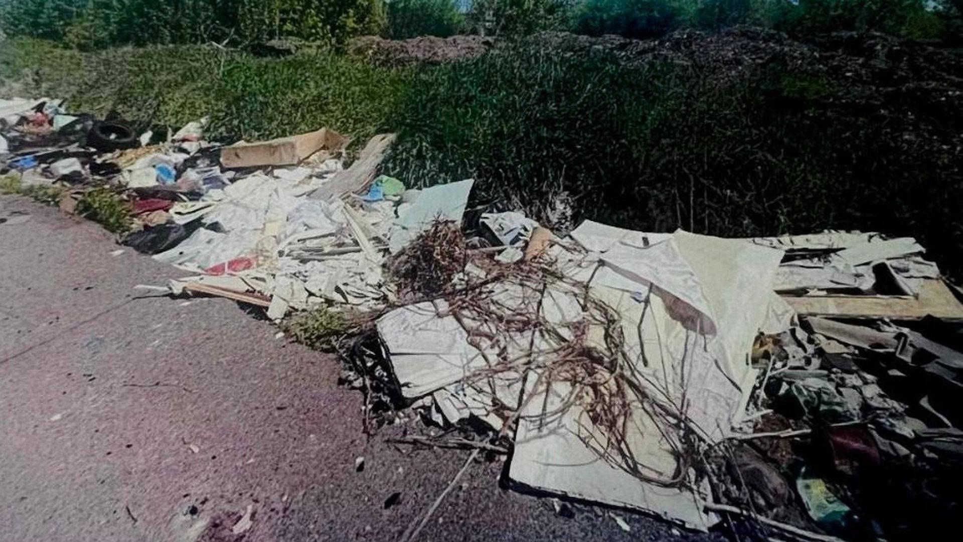 Габаритне сміття на узбіччі дороги