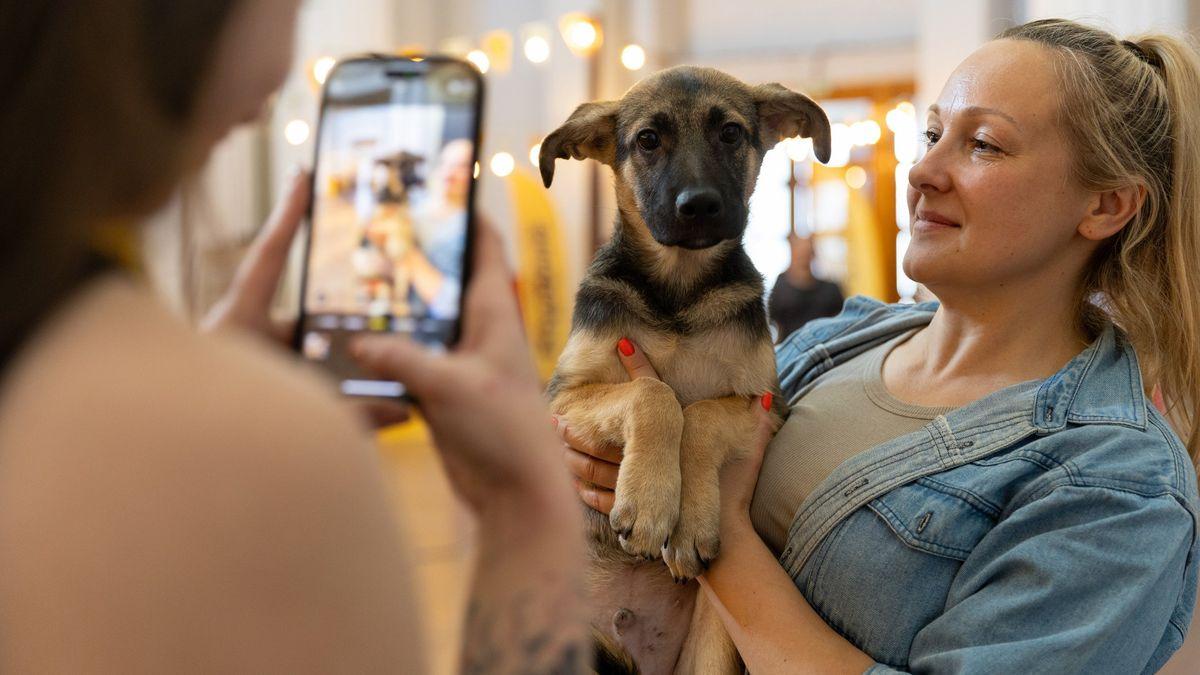 AdoptMe Days на ВДНГ: 500 тварин шукають дім на фестивалі адопції у Києві Молоді жінки фотографують собаку з іншою жінкою, що тримає її у руках у сучасному приміщенні.