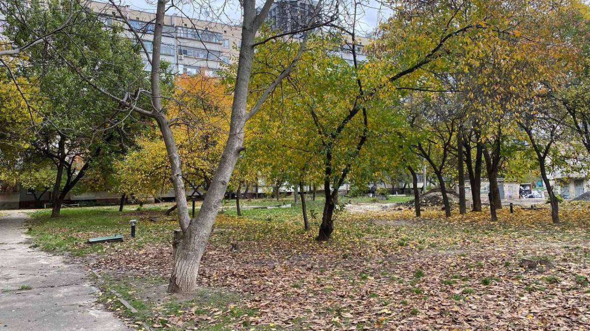 Лісопаркова зона, осінні дерева на фоні багатоповерхових будинків