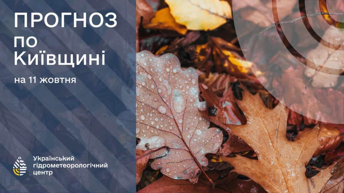 У Києві та області з наступного тижня суттєво похолодає — прогноз синоптиків Хмарне небо і надпис про прогноз погоди на Київщині на 11 жовтня