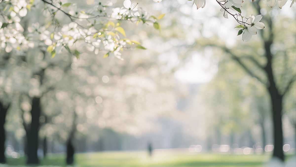 квіти на деревах