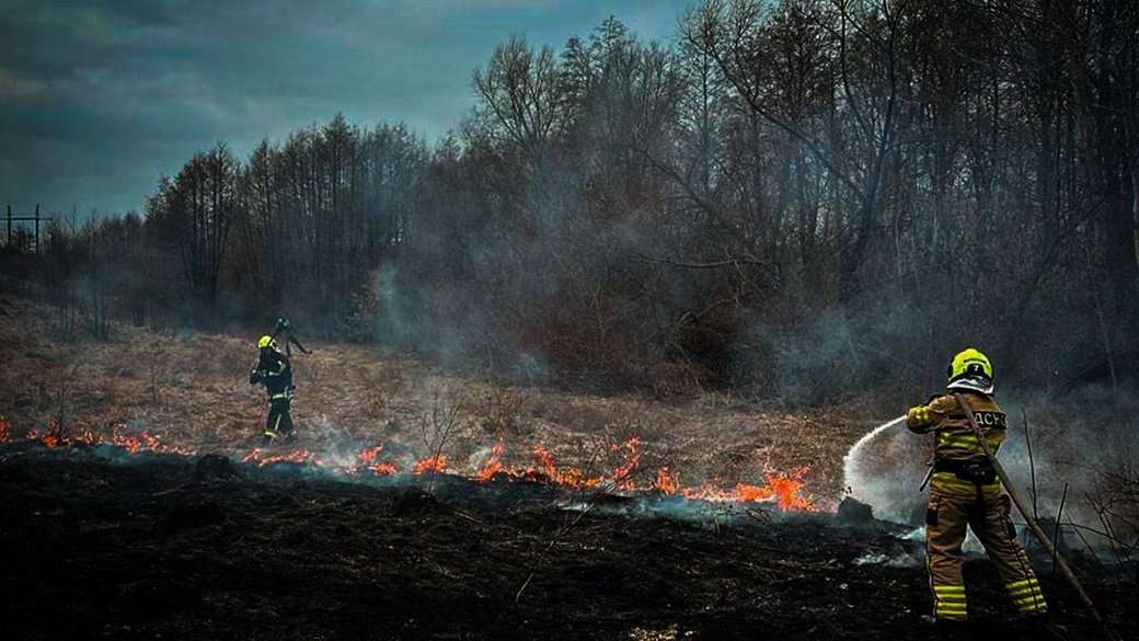 Рятувальники гасять пожежу. Фото: ДСНС Київщини / Telegram