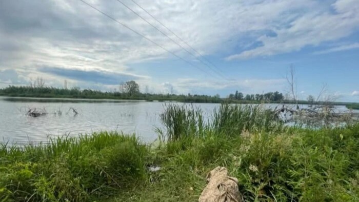 Чоловік загинув від ураження струмом під час риболовлі на Київщині Чоловік загинув від ураження струмом під час риболовлі на Київщині