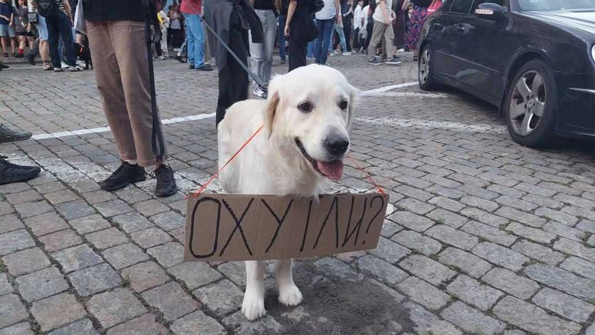Протести проти закону №12414: Люди скандують: «Влада — це народ!»