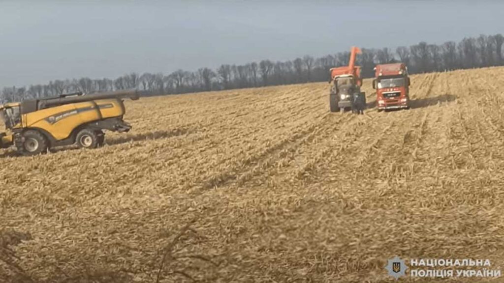 Фермери вирощували зернові у Чорнобильській зоні
