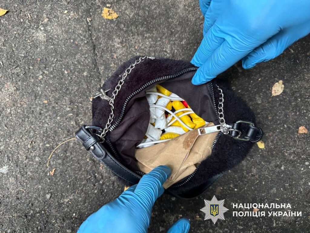 Торгівля наркотиками у Києві: 16-річну дівчину затримали з 80 згортками психотропів Торгівля наркотиками у Києві: 16-річну дівчину затримали з 80 згортками психотропів