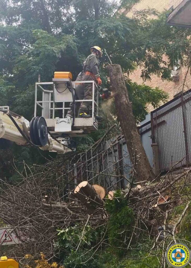 У Києві рятувальники ліквідували аварійні дерева на Білоруській і Синьоозерній У Києві рятувальники ліквідували аварійні дерева на Білоруській і Синьоозерній