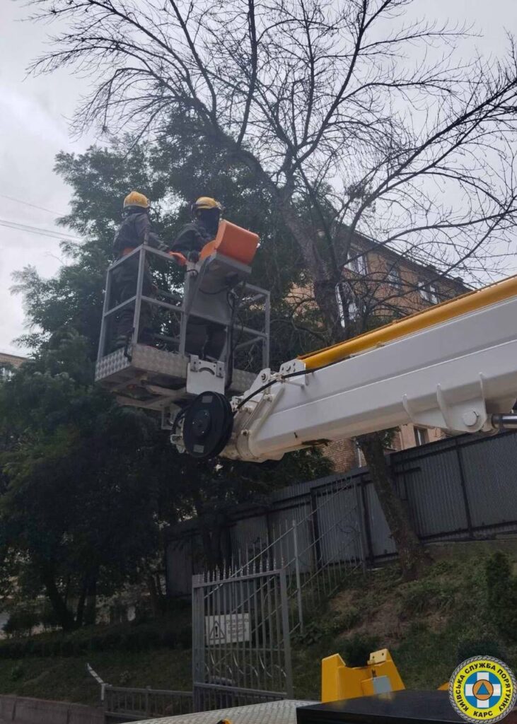 У Києві рятувальники ліквідували аварійні дерева на Білоруській і Синьоозерній У Києві рятувальники ліквідували аварійні дерева на Білоруській і Синьоозерній