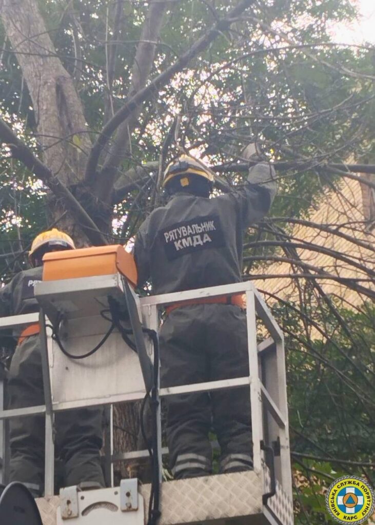 У Києві рятувальники ліквідували аварійні дерева на Білоруській і Синьоозерній У Києві рятувальники ліквідували аварійні дерева на Білоруській і Синьоозерній