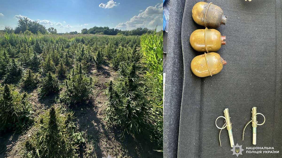 На Київщині затримали чоловіка з гранатами, набоями та плантацією конопель