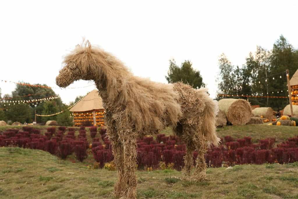 Соломʼяний кінь