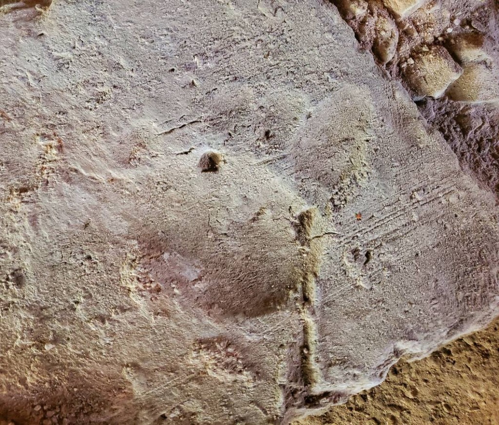 залишки фундаменту надбрамної церкви Михайлівського Золотоверхого собору