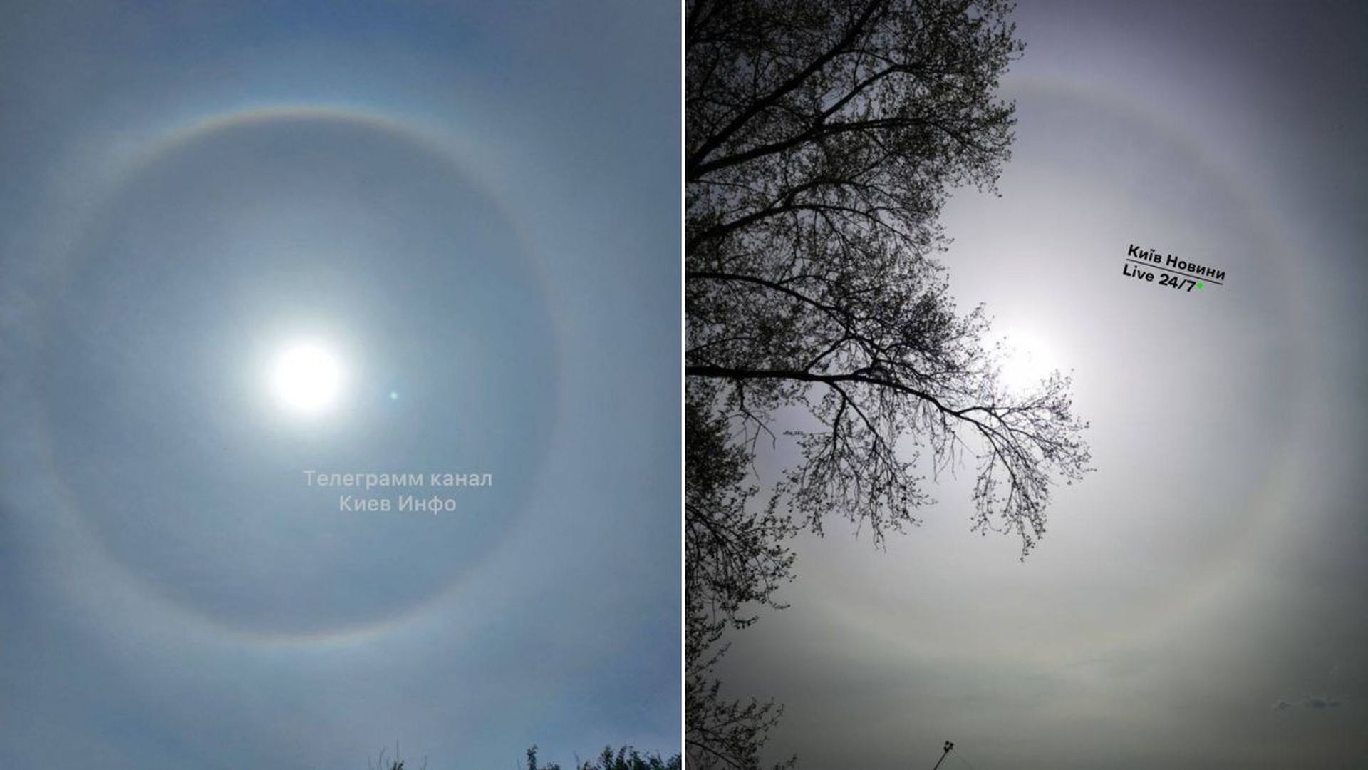 Сонце в центрі неба, навколо нього чітке світле кільце гало на тлі неба