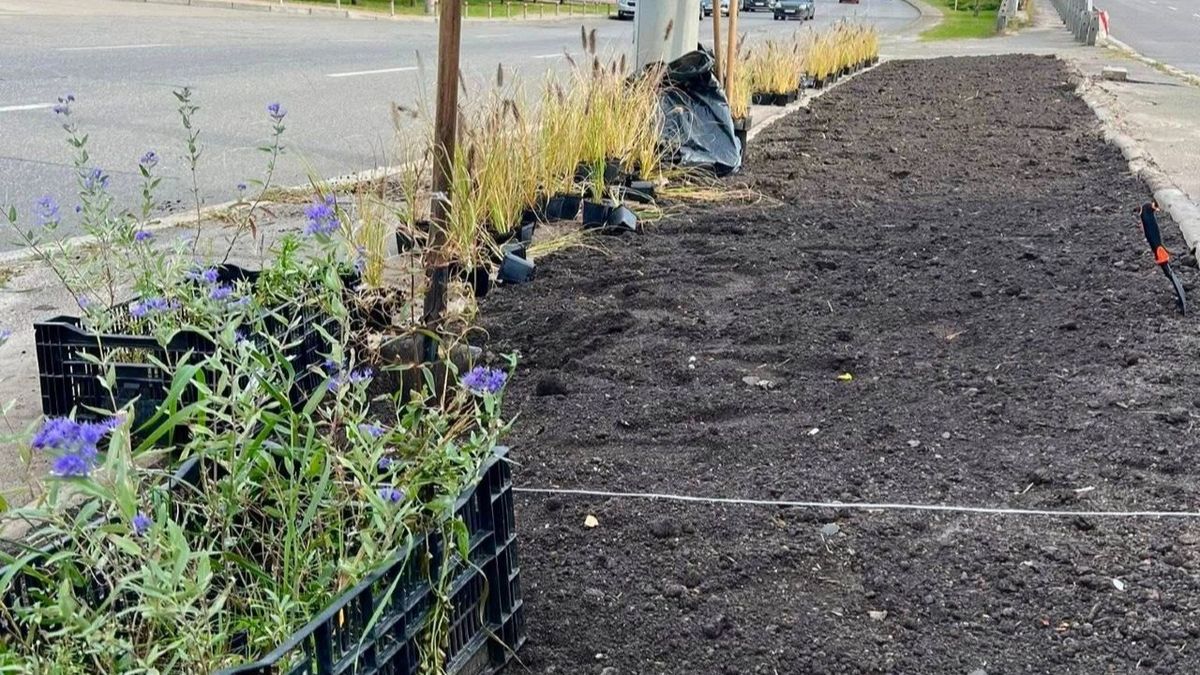 Уздовж дороги підготовлена грядка чорної землі з розсадою квітів у контейнерах