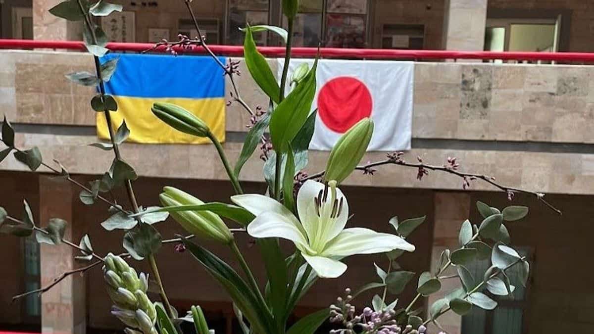 український та японський прапор на балконі з квітами і рослинами, символи миру та дружби між країнамив, фотовиставка у Києві, символи єдності країни і міжнародної підтримки, квіти та прапори у інтер'єрі.