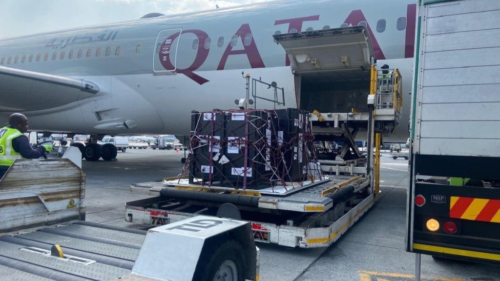 вантажники в аеропорту завантажують велику клітку з вантажем у літак