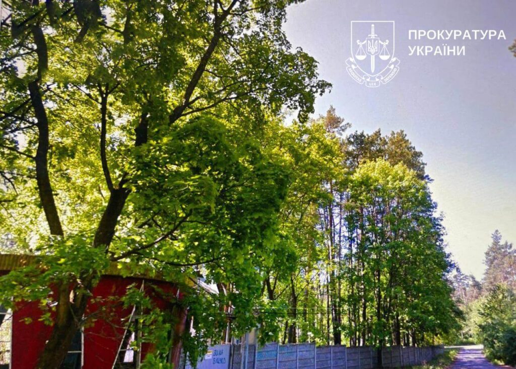 У Києві через суд скасували реєстрацію 16 га лісових земель у Дарницькому районі, які планували забудувати У Києві через суд скасували реєстрацію 16 га лісових земель у Дарницькому районі, які планували забудувати