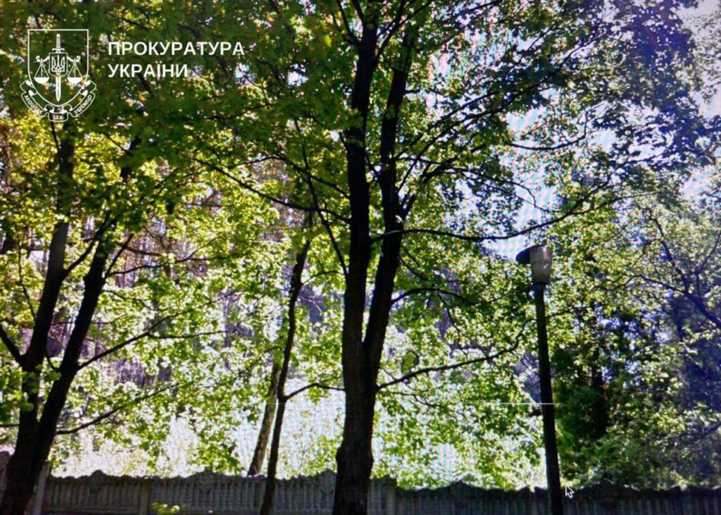 У Києві через суд скасували реєстрацію 16 га лісових земель у Дарницькому районі, які планували забудувати У Києві через суд скасували реєстрацію 16 га лісових земель у Дарницькому районі, які планували забудувати