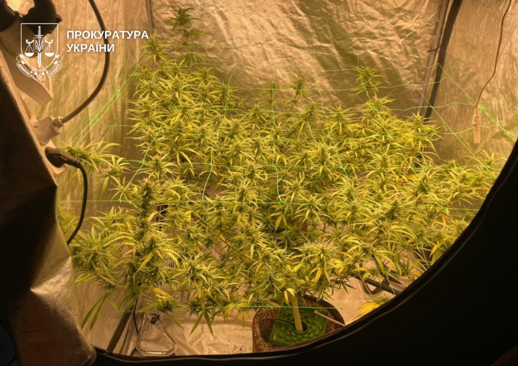 Вилучені наркотичні речовини