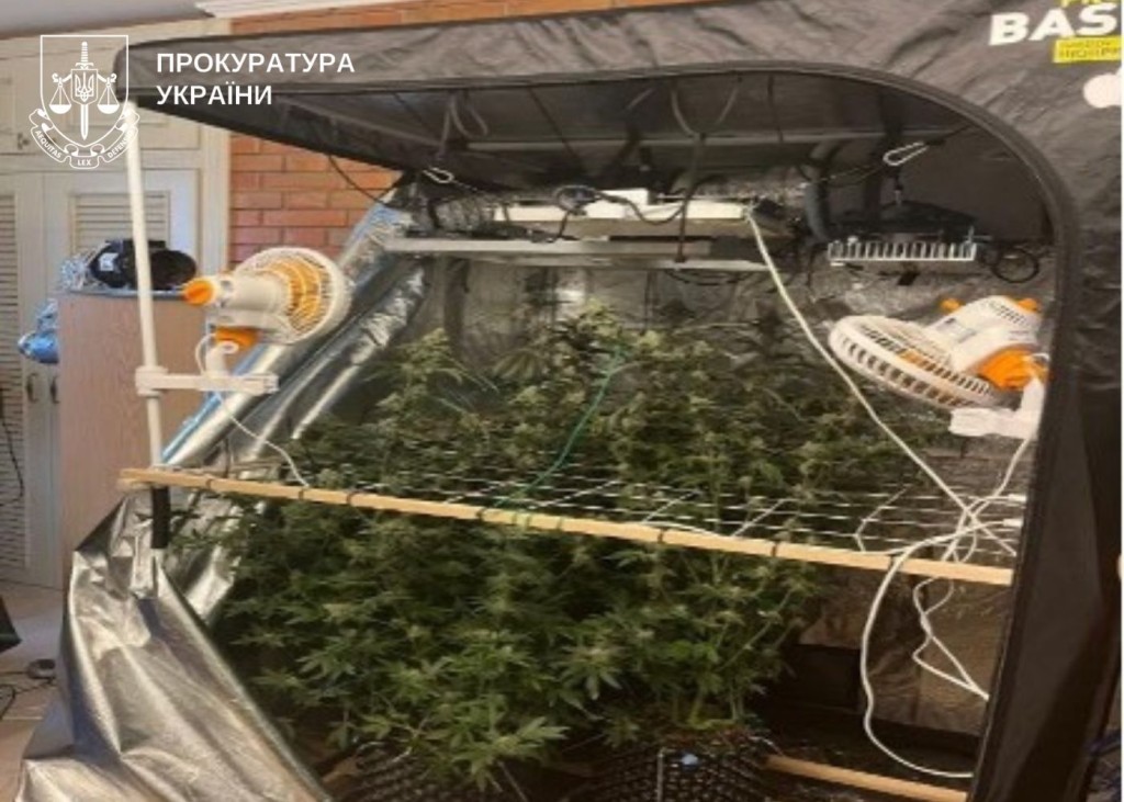 Вилучені наркотичні речовини