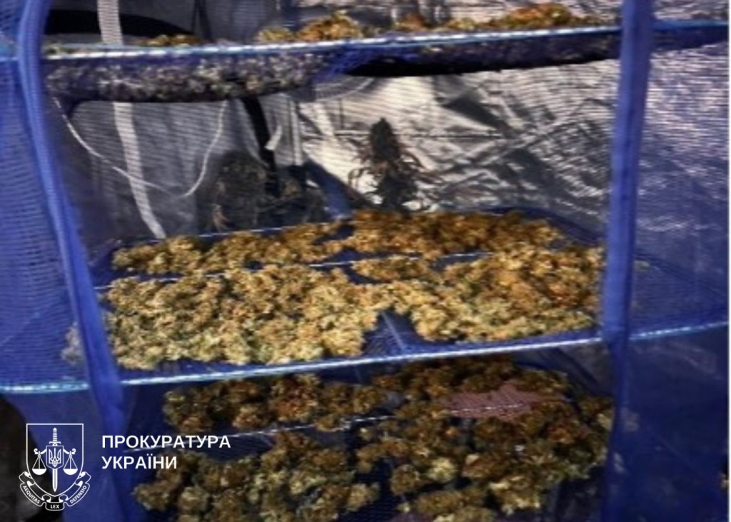 Вилучені наркотичні речовини