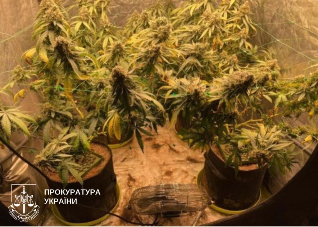 Вилучені наркотичні речовини