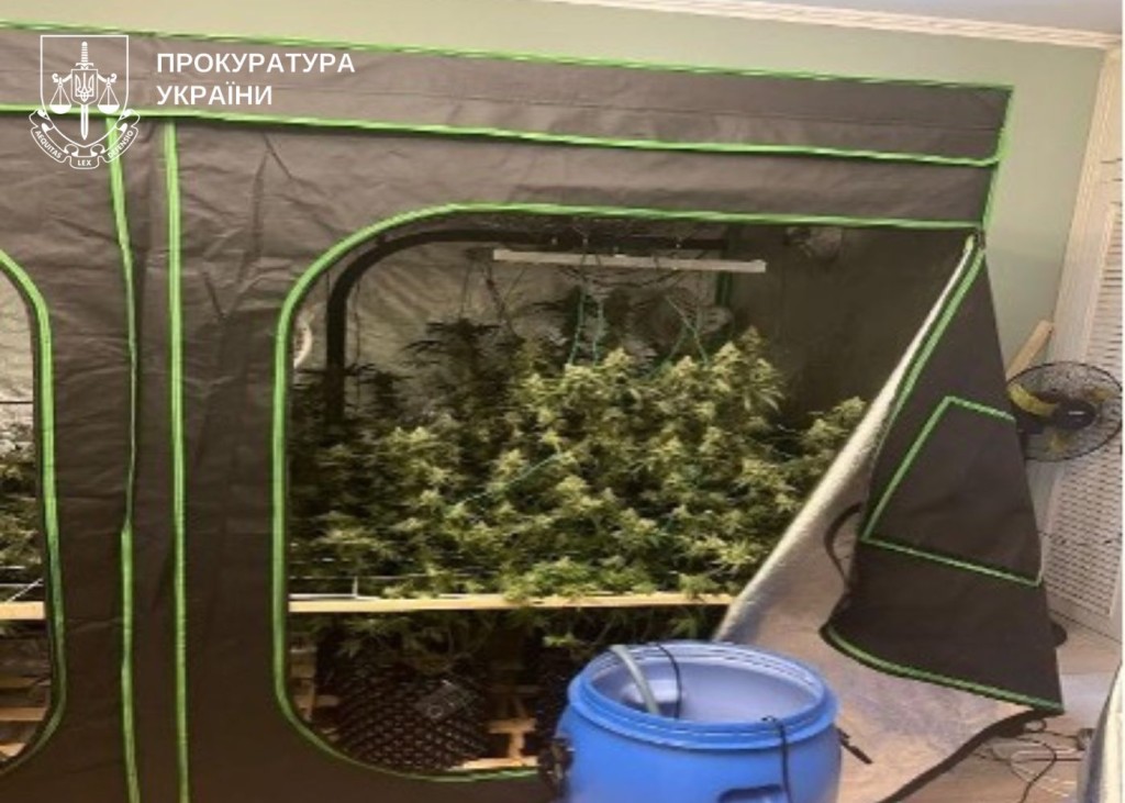 Вилучені наркотичні речовини