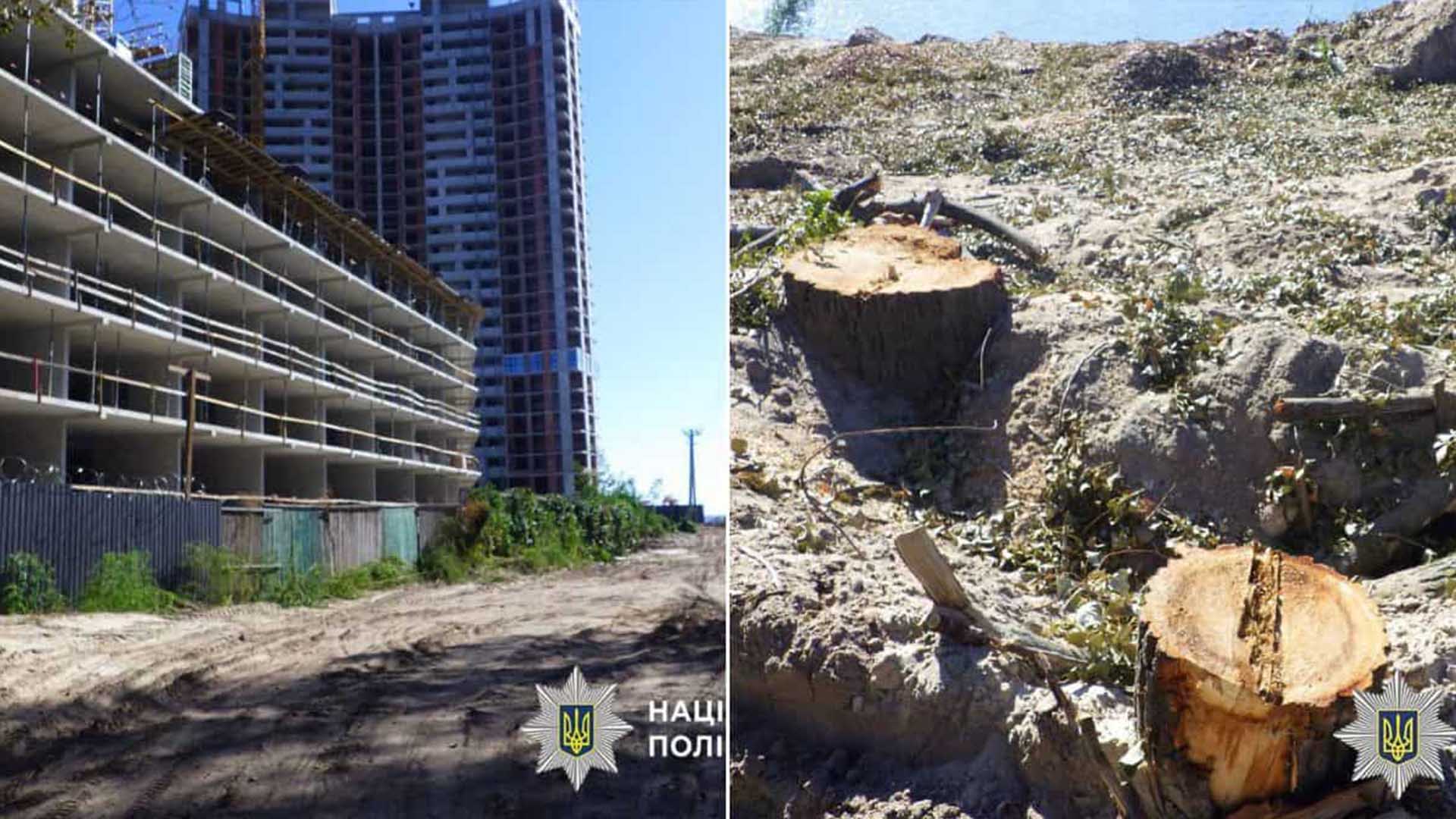 будівництво житлового будинку поруч із вирубано дерева