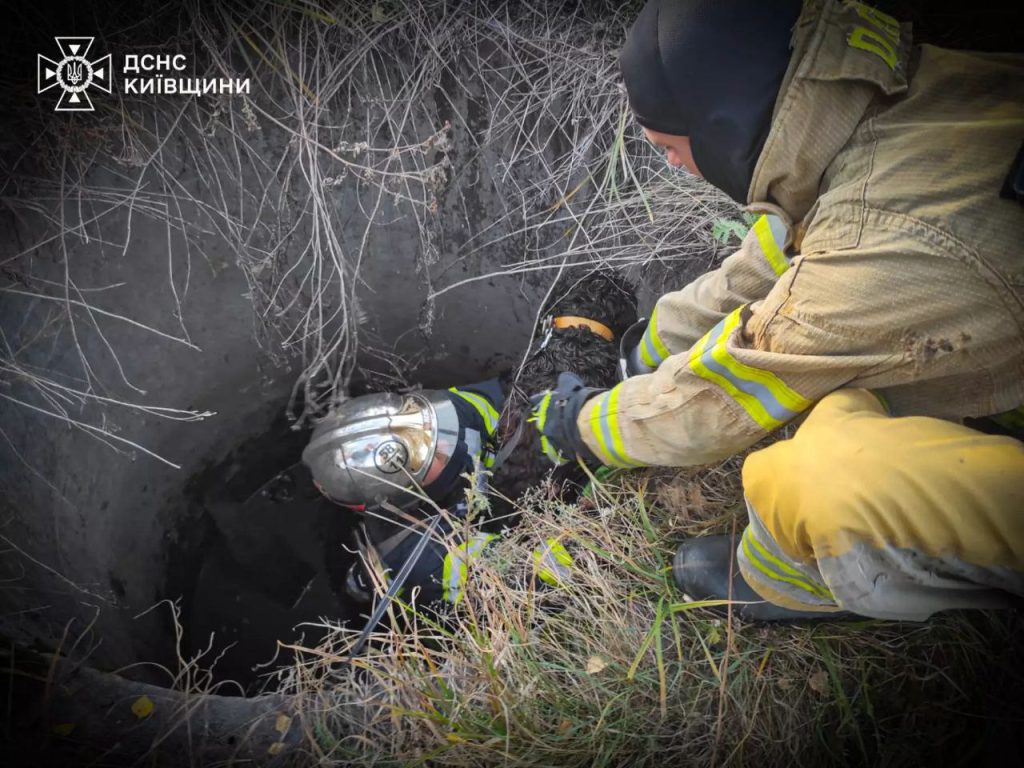 На Київщині рятувальники дістали собаку з двометрового колодязя На Київщині рятувальники дістали собаку з двометрового колодязя