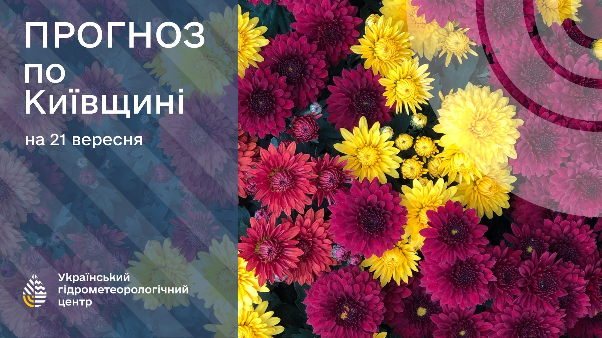 Інфографіка з прогнозом погоди для Київщини на 21 вересня від Українського гідрометеорологічного центру