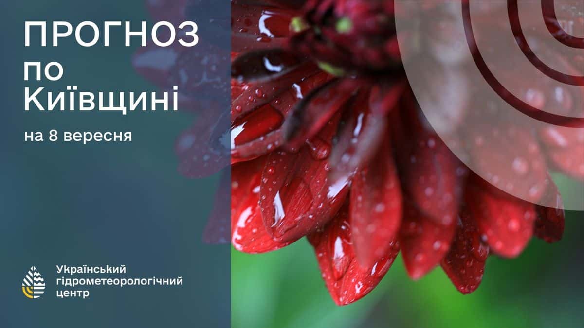 Прогноз погоди у Києві 8 вересня, показано зображення з червоним цвітом і атмосферними опадами, повідомлення від Українського гідрометеорологічного центру.