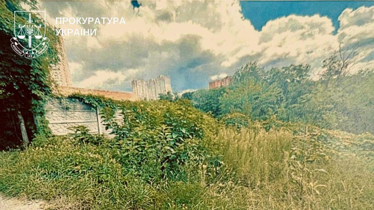 Заросла ділянка землі з високою травою та кущами на тлі міських будинків