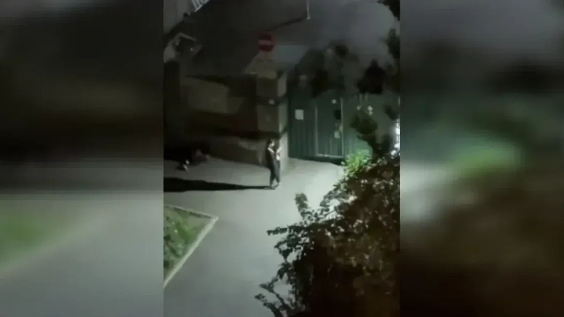 Дівчина стоїть біля воріт у дворі вночі, освітленому вуличним ліхтарем