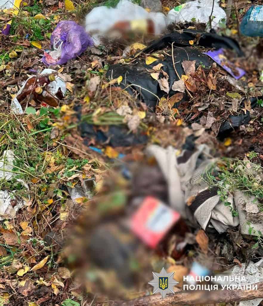 На Подолі чоловік убив знайомого й сховав тіло під листям Осіннє листя, а під ним тіло вбитої людини