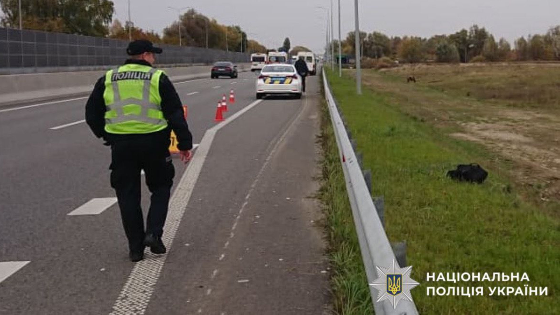 Працівник патрульної поліції іде вздовж траси, де трапилося ДТП