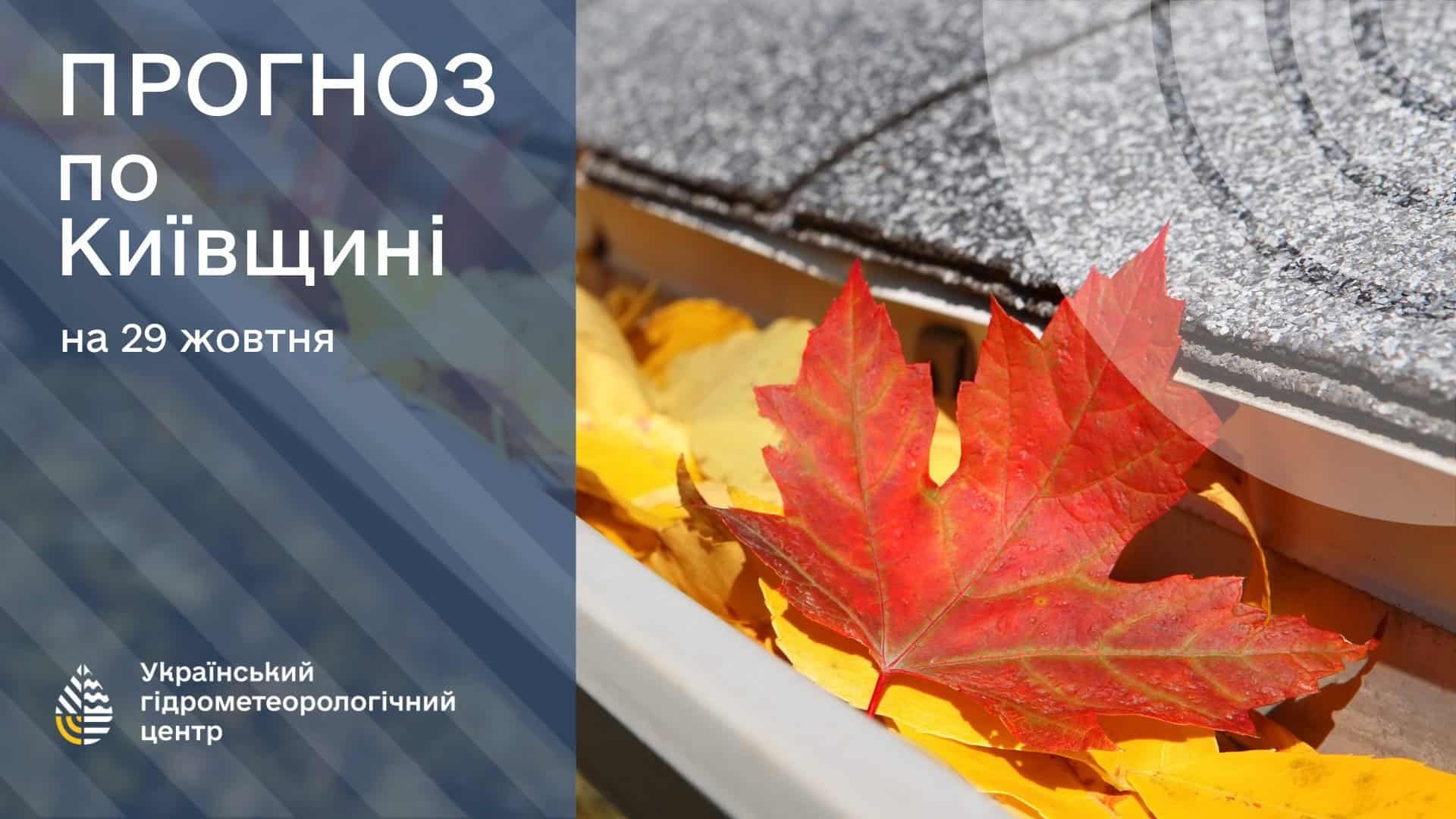 Прогноз погоди по Київщині на 29 жовтня з листям на фоні