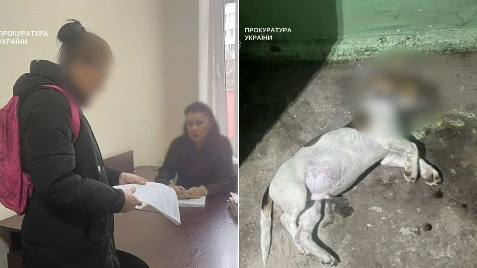 У приміщенні жінка з рожевим рюкзаком тримає папери, поруч мертва собака лежить на землі