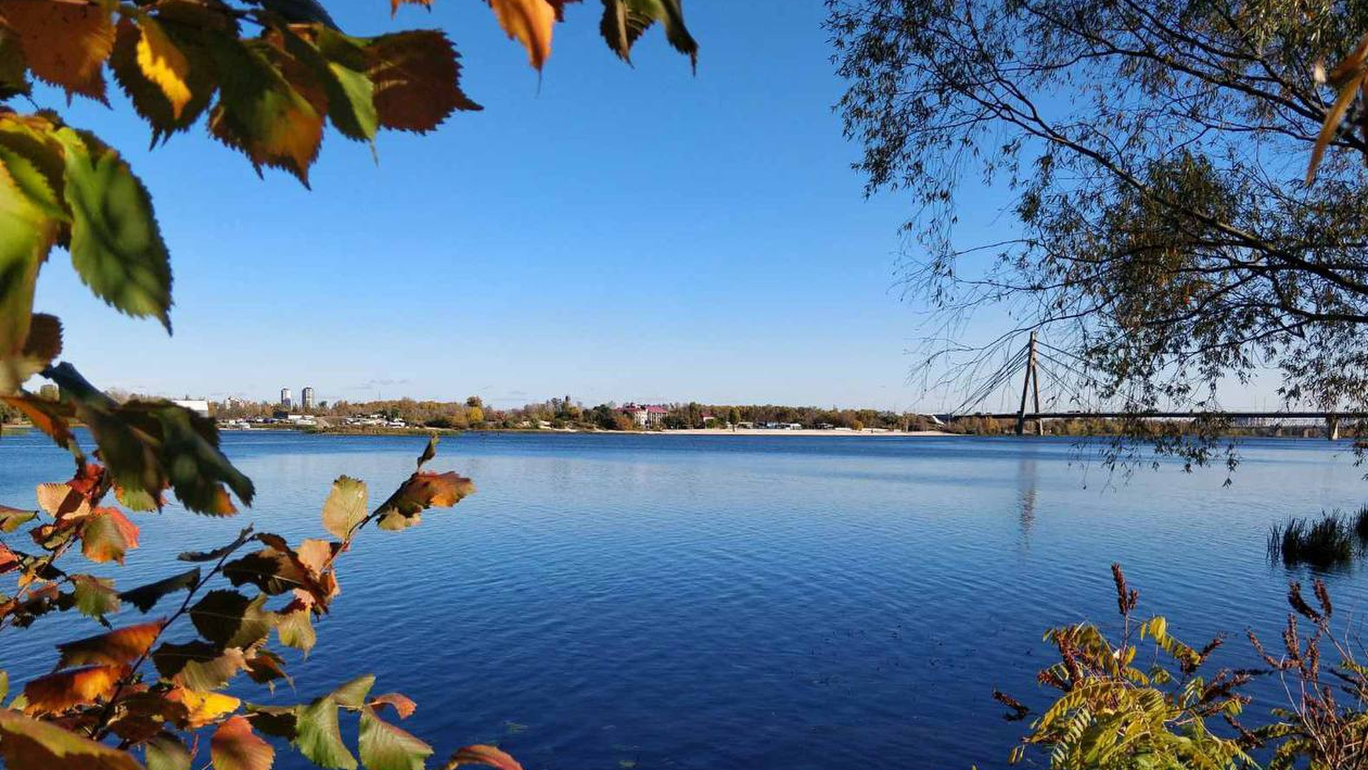 Річка Дніпро і міст через неї, в кадр попадають жовті і червоні осінні листя