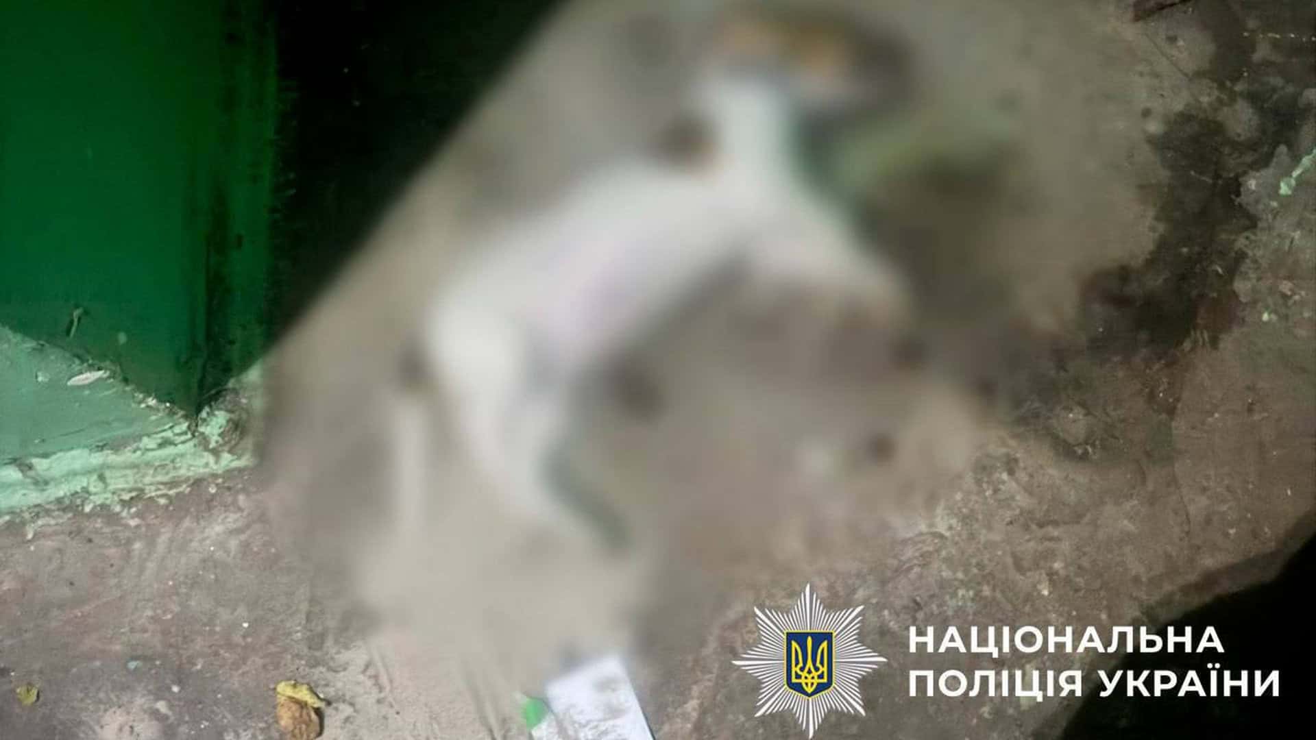 Загиблий собака лежить на підлозі у підїзді