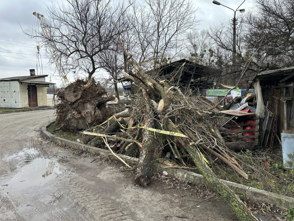 Що будують у Галерній затоці: важка техніка працює в забороненій зоні Що будують у Галерній затоці: важка техніка працює в забороненій зоні
