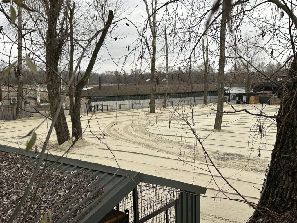 Що будують у Галерній затоці: важка техніка працює в забороненій зоні Що будують у Галерній затоці: важка техніка працює в забороненій зоні