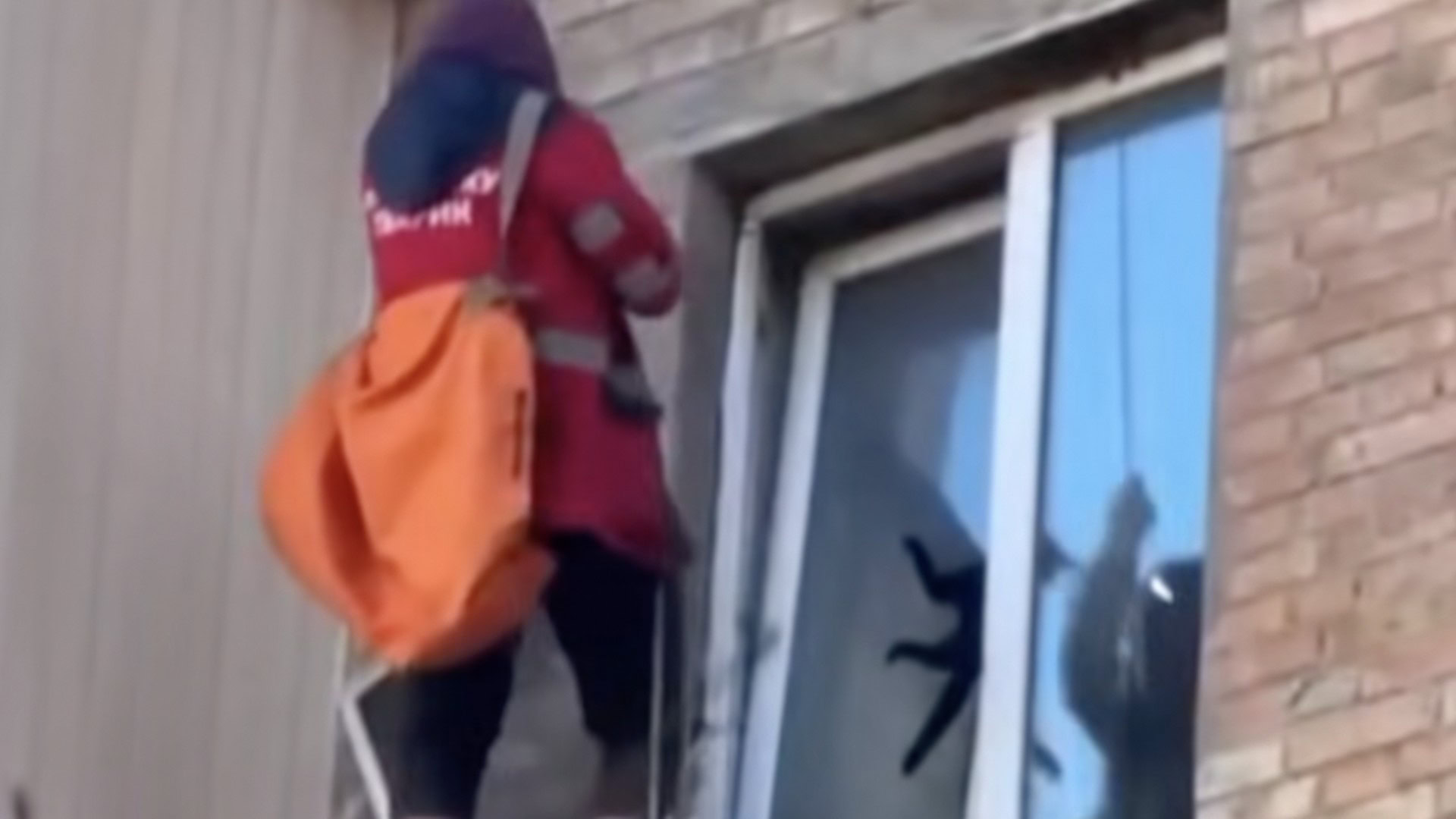 Жінка рятує кота, який застряг у вікні